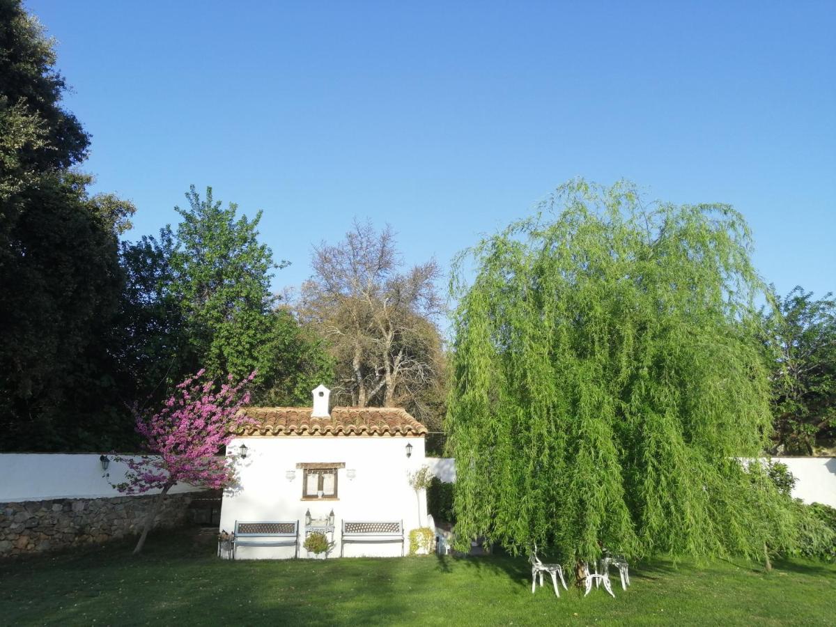 Casona Del Duende Pensionat Alájar Exteriör bild