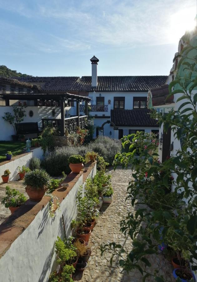 Casona Del Duende Pensionat Alájar Exteriör bild