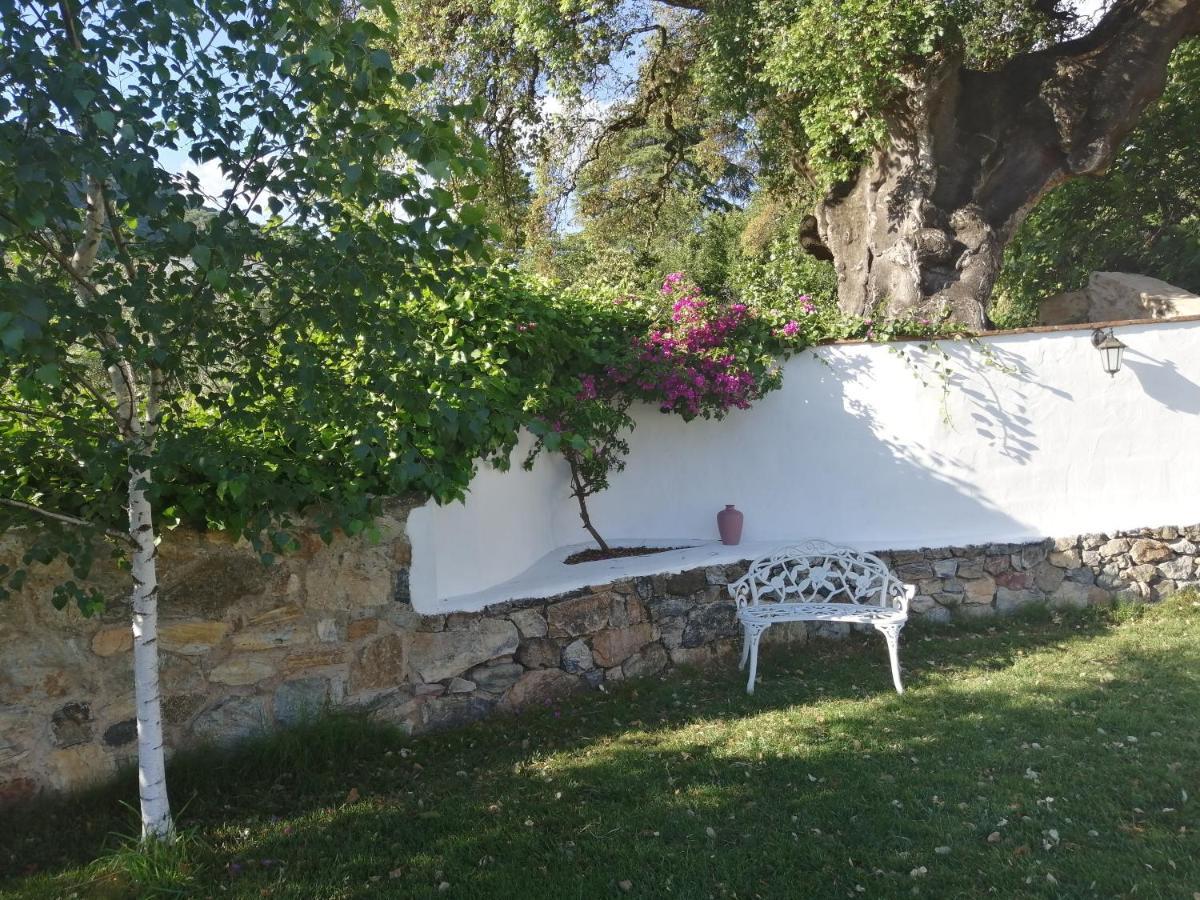 Casona Del Duende Pensionat Alájar Exteriör bild