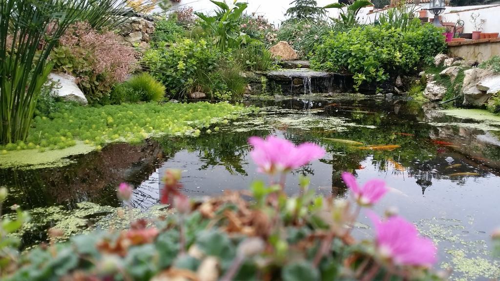 Casona Del Duende Pensionat Alájar Exteriör bild