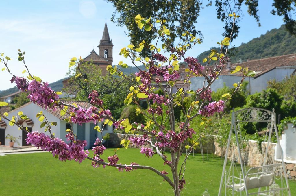 Casona Del Duende Pensionat Alájar Exteriör bild