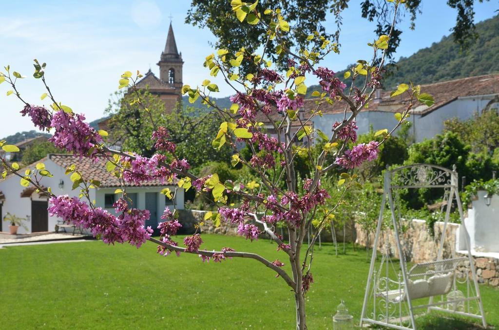 Casona Del Duende Pensionat Alájar Exteriör bild